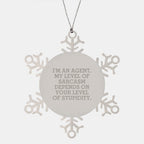 Agent Snowflake Ornament, Funny Snowflake Gift, Gifts from Friends to Agent, Christmas Unique Decorations, Sarcasm Agent Level Stupidity