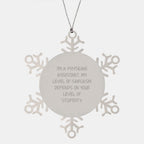 Funny Physician Assistant Gifts, Snowflake Ornament, Christmas Unique Gifts from Friends to Physician Assistants, I'm A Physician Assistant Gifts