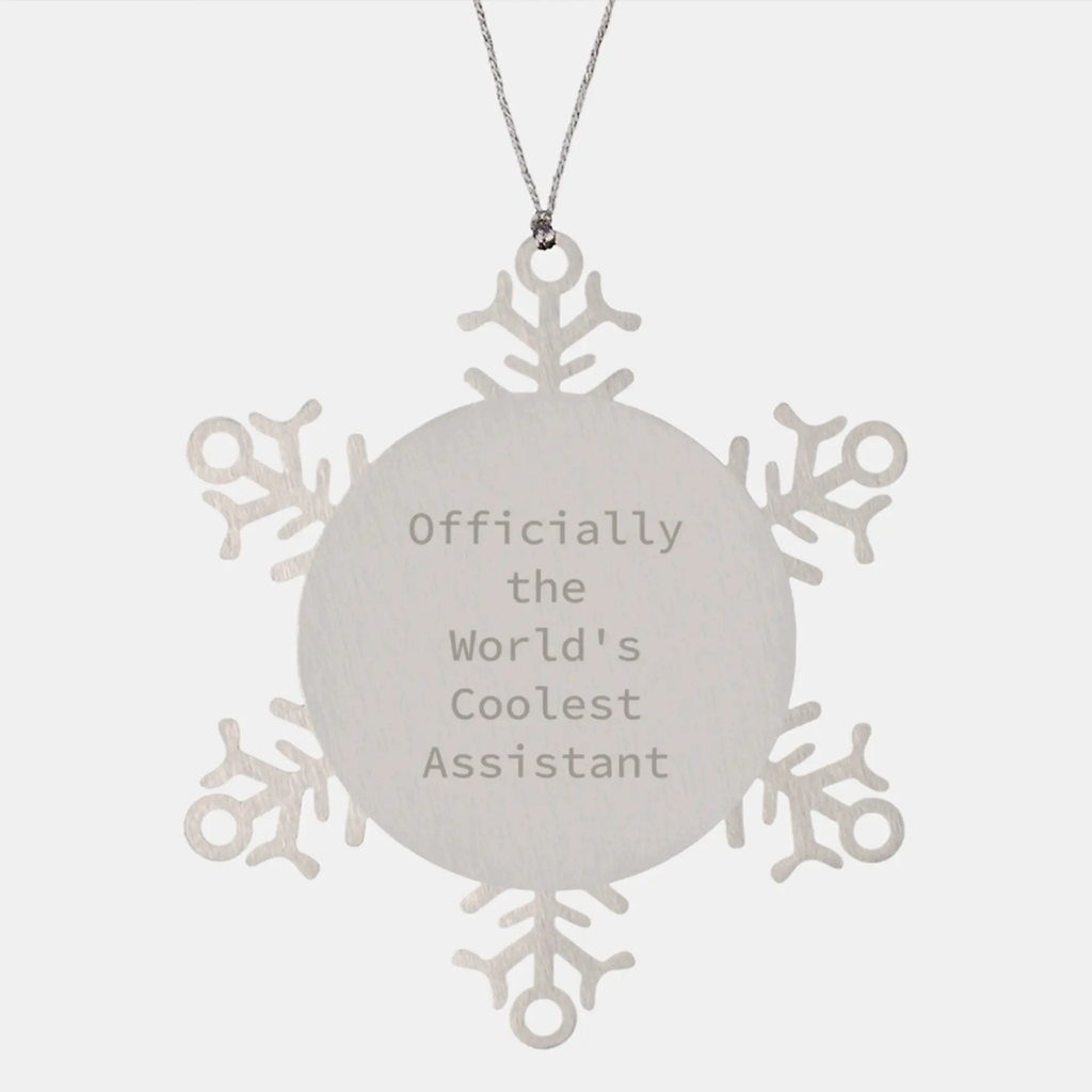 Funny Assistant Gifts for Coolest Assistant on Snowflake Ornaments with Christmas Unique Gifts from Men to Best Friends - Image 1