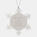 Funny Assistant Gifts for Coolest Assistant on Snowflake Ornaments with Christmas Unique Gifts from Men to Best Friends - Image 1