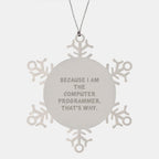 Funny Computer Programmer Gifts from Friends for Men - Snowflake Ornament Because I Am, That's Why - Christmas Unique Present