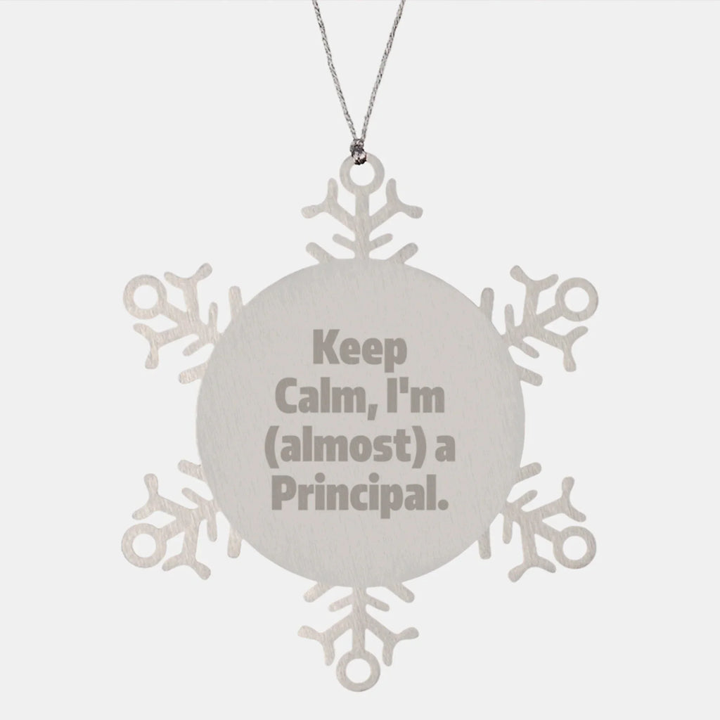 Funny Christmas Unique Gifts for Principal or Men Snowflake Ornament, Gifts from Family, Friends, Coworkers, Unique Principal Office Decor