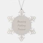 Funny Gifts for Men, Inspirational Quotes for Trainers, Snowflake Ornament, Unique Christmas Unique Gifts from Friends to Family