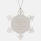 Funny Vice-principal Gifts, Be Nice To Me. I May Be Your Vice-principal One Day. Snowflake Ornament, Christmas Unique Gifts from Men, Gifts for Vice-principal