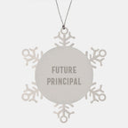 Gifts from Friends for Future Principal - Inspirational Snowflake Ornament, Christmas Unique Gifts for Men, Women, Family