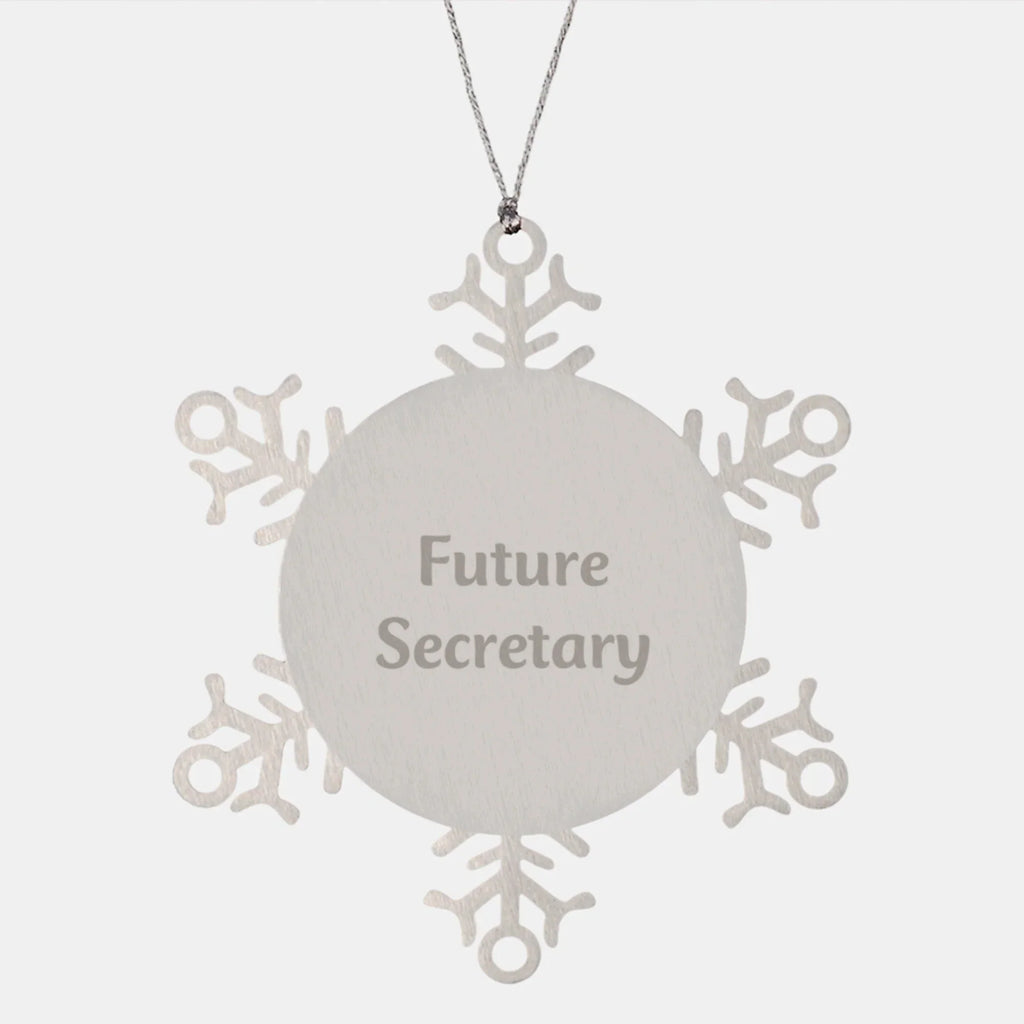Funny Quotes for Secretary Gifts, Christmas Unique Gifts from Friends to Secretary, Snowflake Ornament for Future Secretary