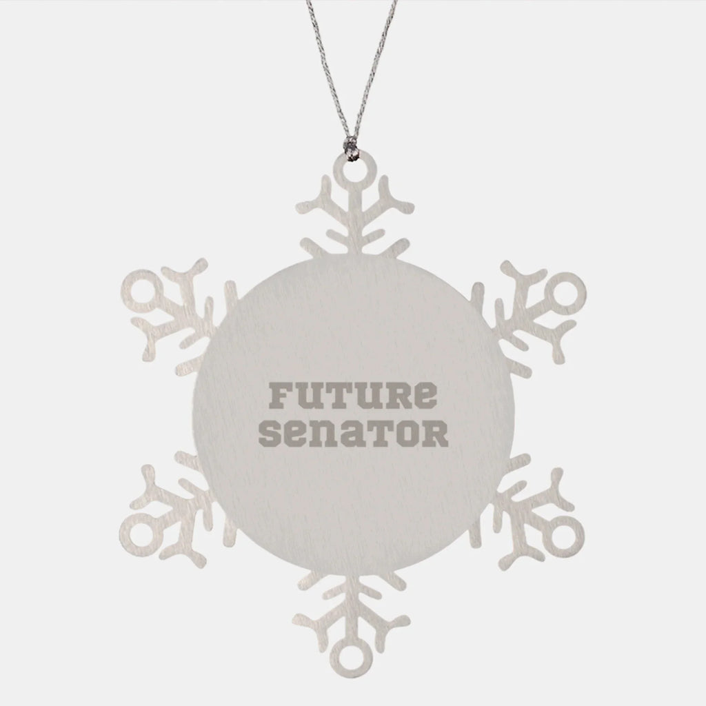 Funny Senator Snowflake Ornament Gifts from Friends and Family for Him or Her - Inspirational Quote Snowflake Decoration for Christmas Unique Gifts