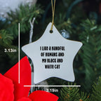 Black and White Cat Lovers' Christmas Unique Gift - Star Ornament with Funny Quote, 'I Like a Handful of Humans and My Black and White Cat', Perfect for Friends, Family, or Coworkers from You