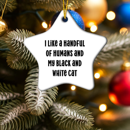 Black and White Cat Lovers' Christmas Unique Gift - Star Ornament with Funny Quote, 'I Like a Handful of Humans and My Black and White Cat', Perfect for Friends, Family, or Coworkers from You