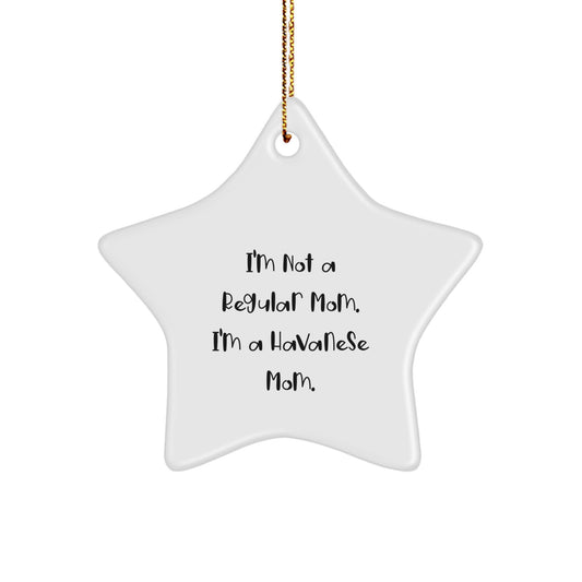 Funny Havanese Dog Christmas Unique Gifts from Mom to Havanese Dog Star Ornament for Home Decor - Image 1