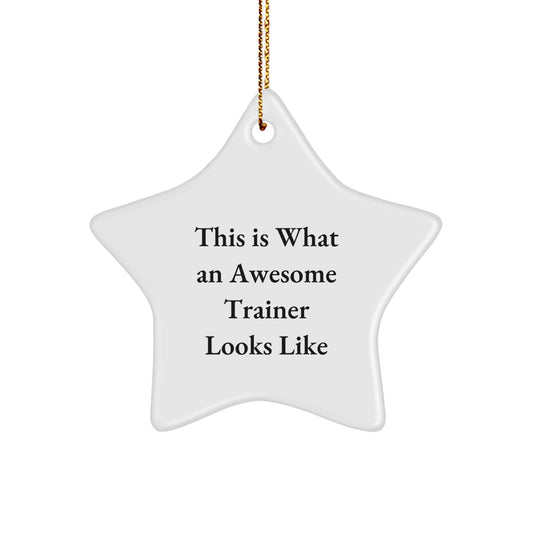 Funny Trainer Gifts from Friends - This Is What An Awesome Trainer Looks Like Star Ornament, Perfect for Christmas - Image 1