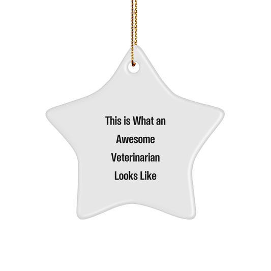 Veterinarian Star Ornament, 'This Is What An Awesome Veterinarian Looks Like' Funny Quote, Christmas Unique Gifts from Family to Friends - Image 1
