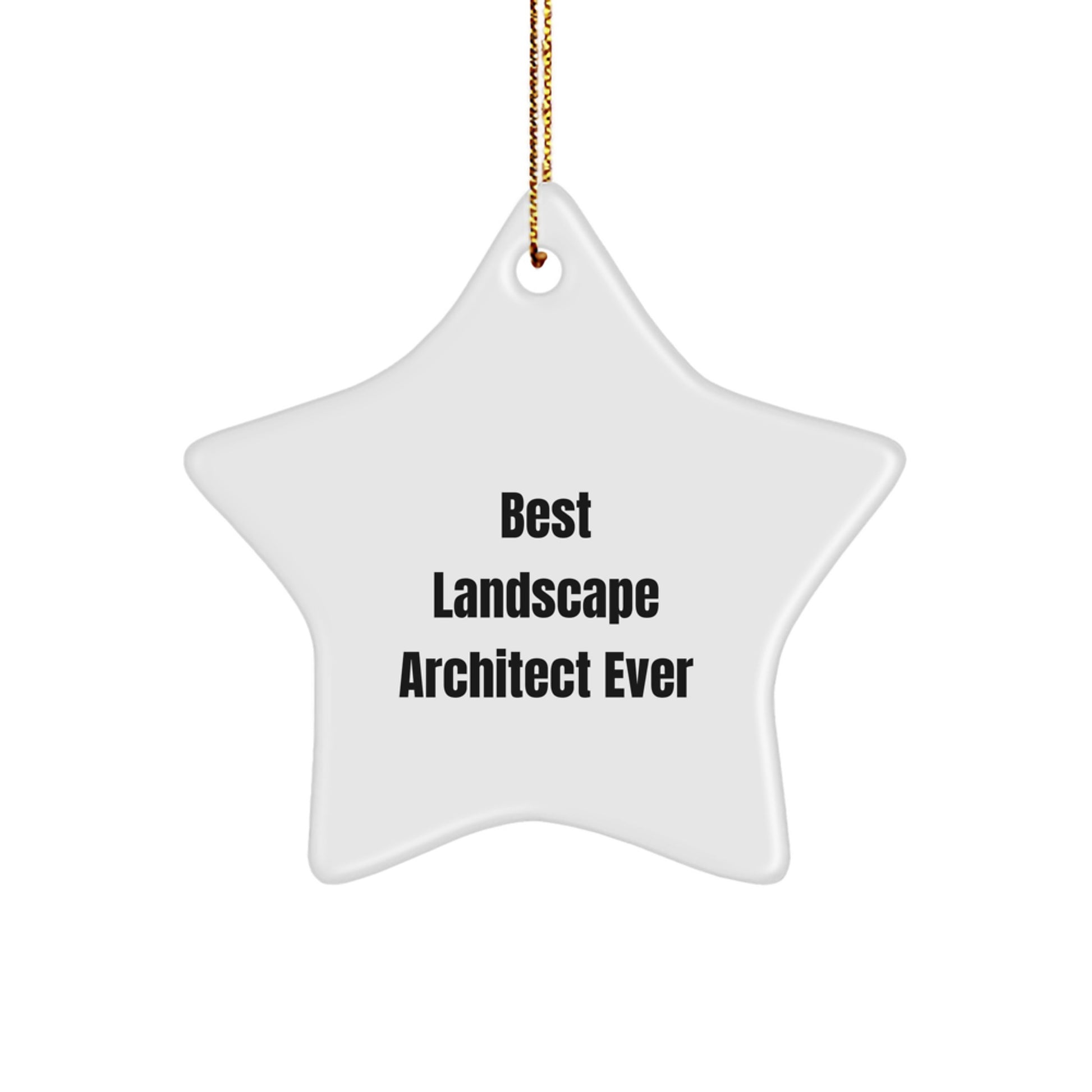 Best Landscape Architect Ever Star Ornament, Gifts from Friends to Landscape Architects, Unique Christmas Unique Gifts - Image 1