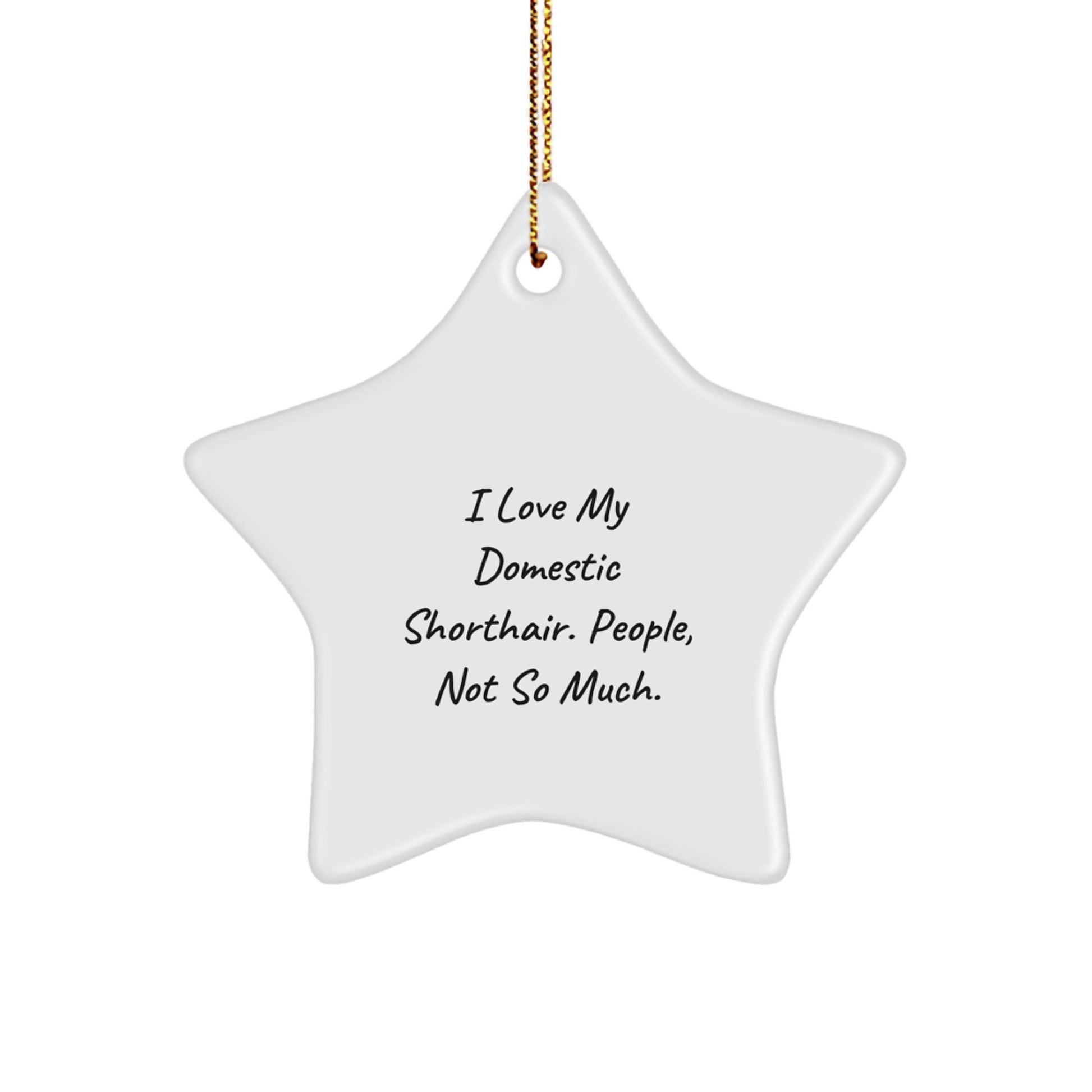 Funny Domestic Shorthair Cat Gifts, Star Ornament for Christmas, Gifts from Friends to Family, I Love My Domestic Shorthair, People Not So Much Funny Cat Lover Ornament