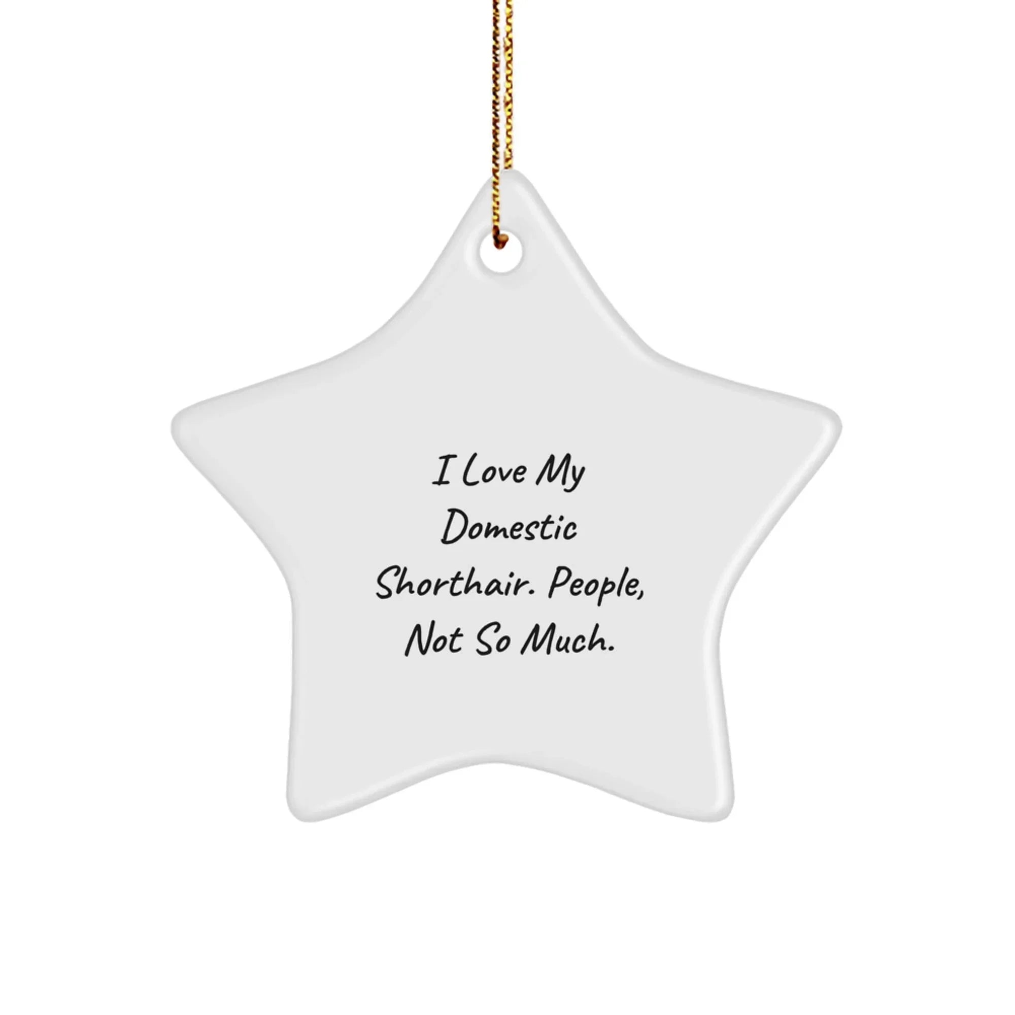 Funny Domestic Shorthair Cat Gifts, Star Ornament for Christmas, Gifts from Friends to Family, I Love My Domestic Shorthair, People Not So Much Funny Cat Lover Ornament