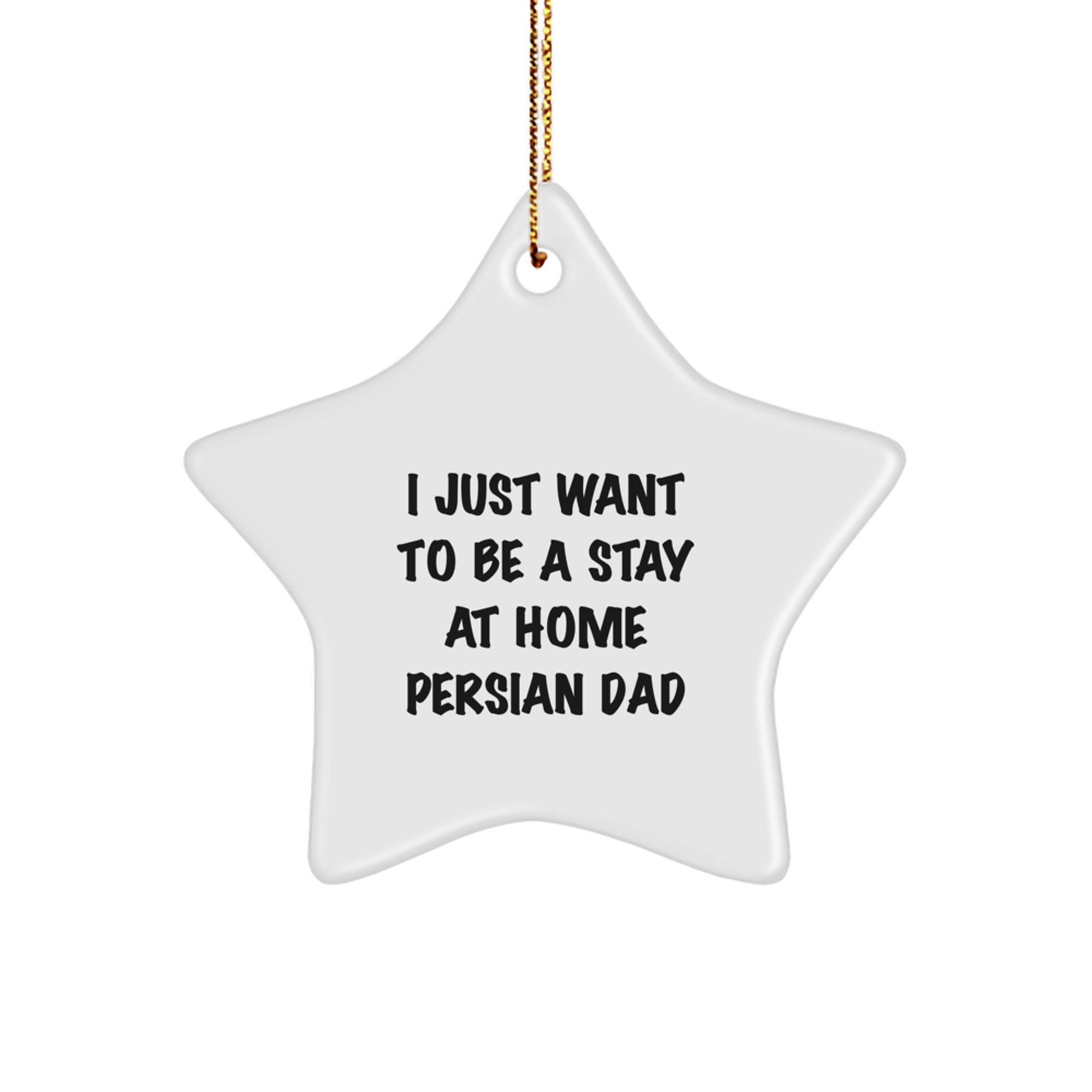 Funny Persian Cat Star Ornament, Christmas Unique Gifts for Men, Unique Star Shaped Decorations from Dad to Stay at Home Persian Dad - Image 1