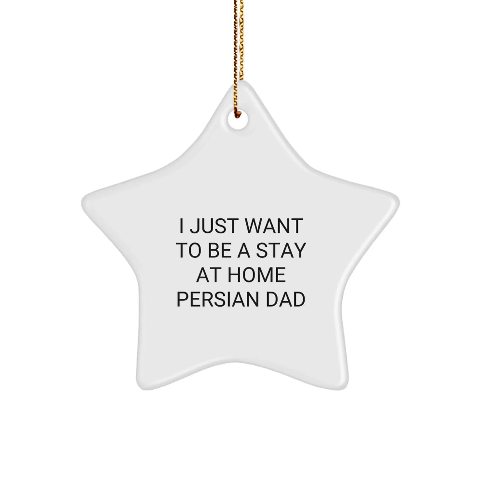 Funny Persian Cat Gifts for Men, Christmas Unique Star Ornament from Dad to Stay at Home Dad