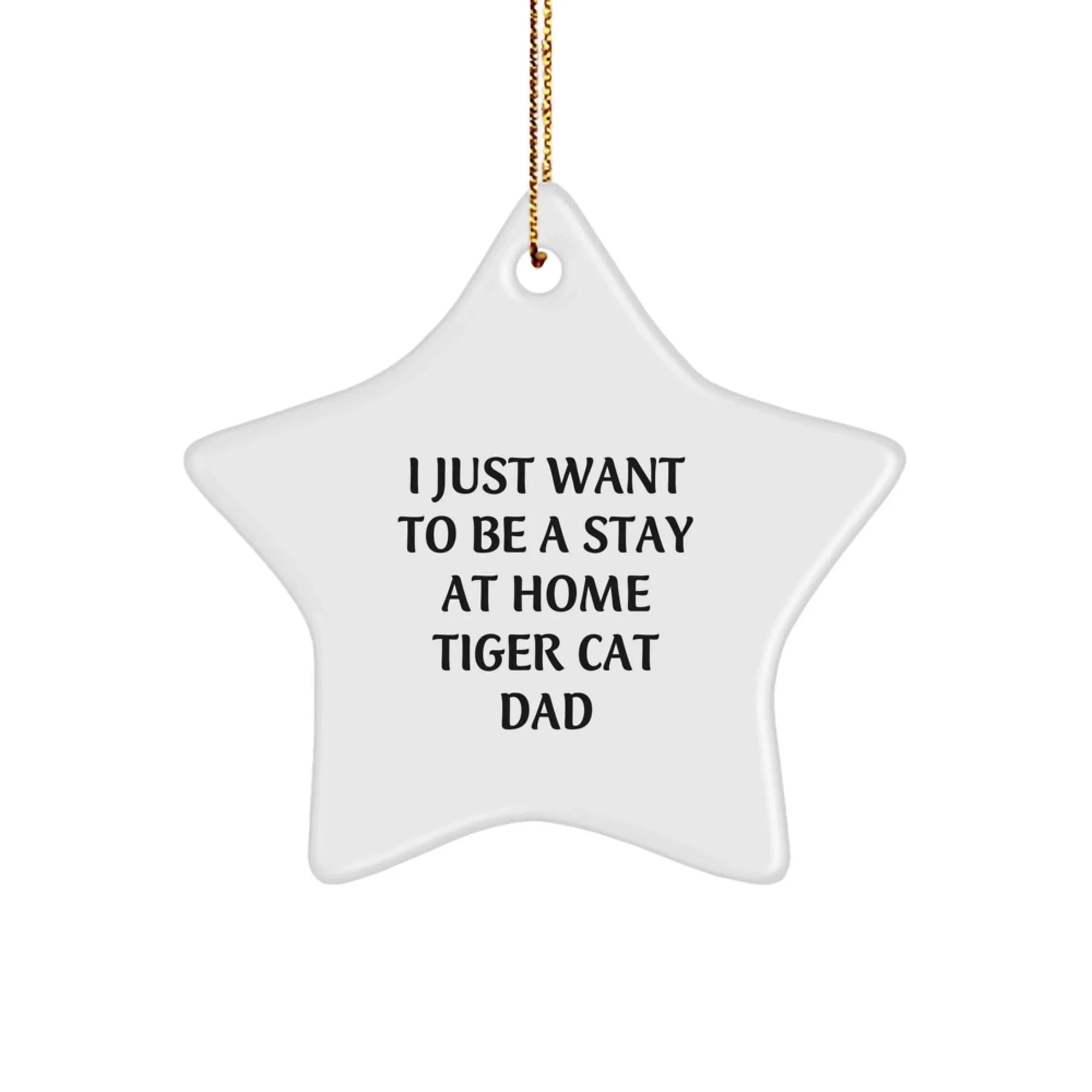 Tiger Cat Dad Gifts from Men for Tiger Cat Lovers Christmas Unique Star Ornament, Funny Stay at Home Quote
