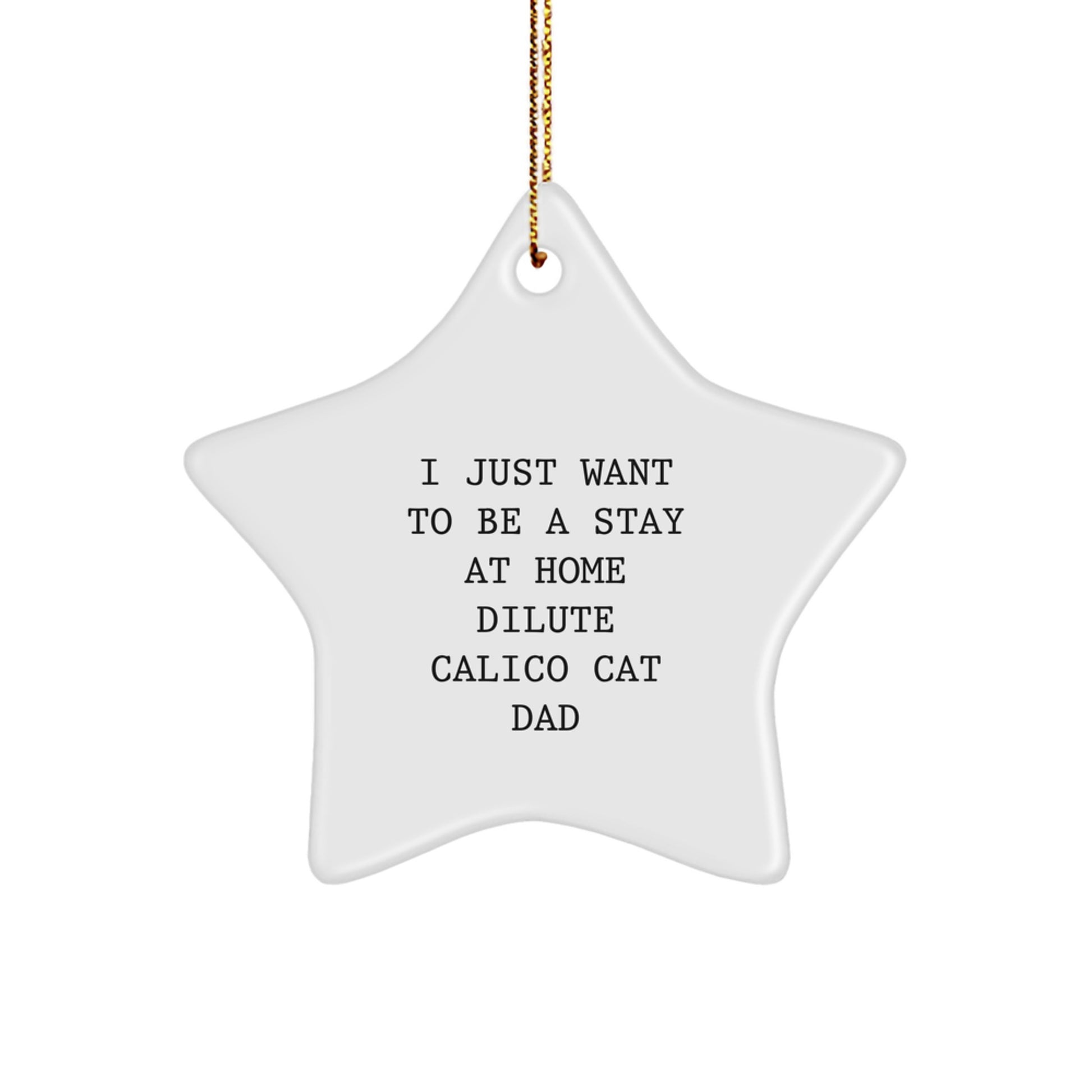 Dilute Calico Cat Dad's Christmas Unique Gift Idea - I Just Want To Be A Stay At Home Dilute Calico Cat Dad Star Ornament, Gifts from Men to Dilute Calico Cat Lovers - Image 1