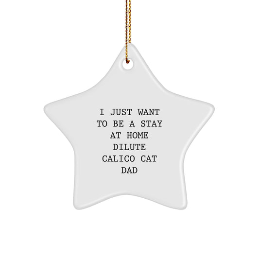 Dilute Calico Cat Dad's Christmas Unique Gift Idea - I Just Want To Be A Stay At Home Dilute Calico Cat Dad Star Ornament, Gifts from Men to Dilute Calico Cat Lovers - Image 1