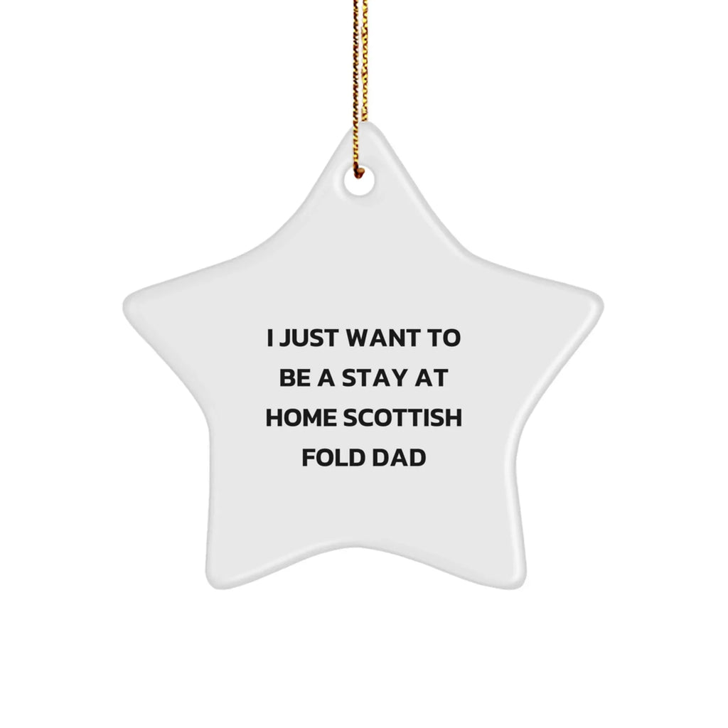 Funny Scottish Fold Cat Dad Gifts for Men, Unique Star Ornament from Men to Family, Friends, and Coworkers this Christmas