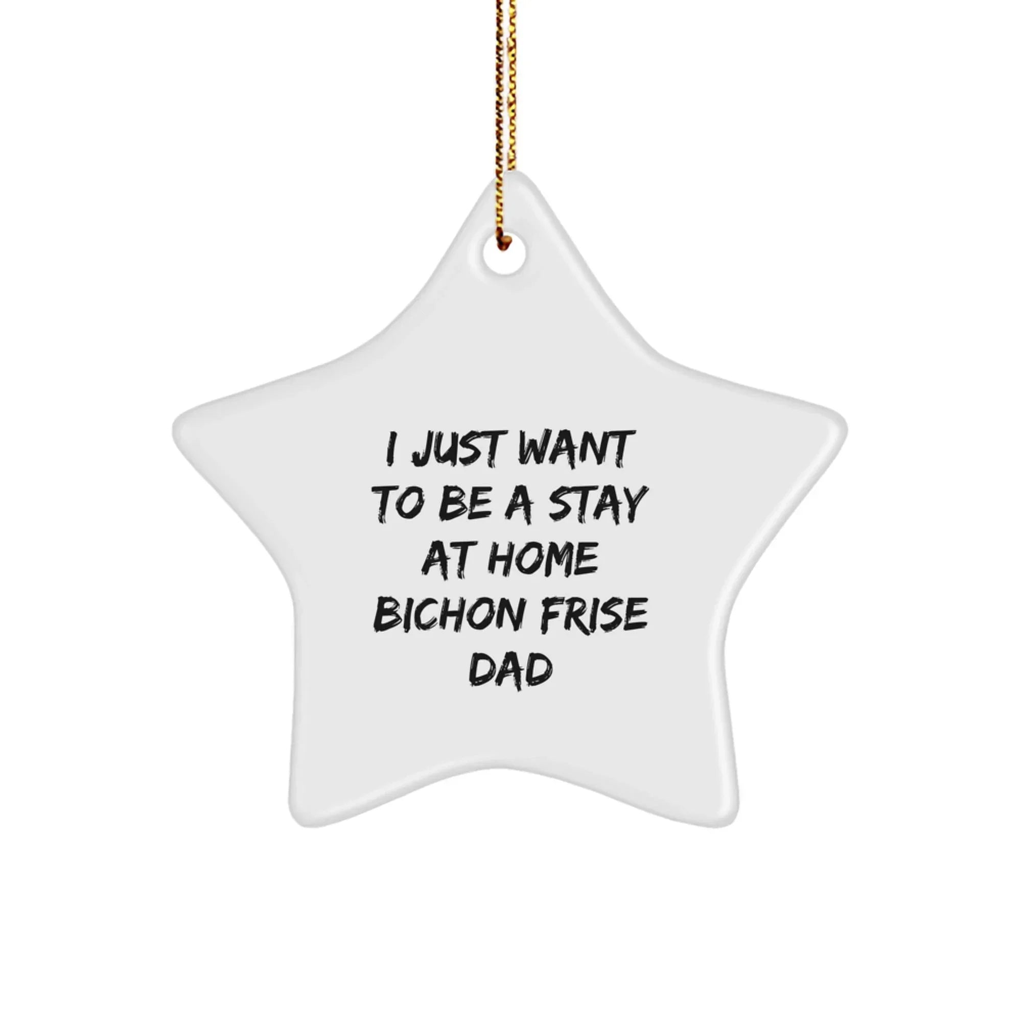 I Just Want To Be A Stay At Home Bichon Frise Dad's Christmas Unique Gift Star Ornament for His Furry Friend from Men to Friends, Perfect for Bichon Frise Dog Lovers