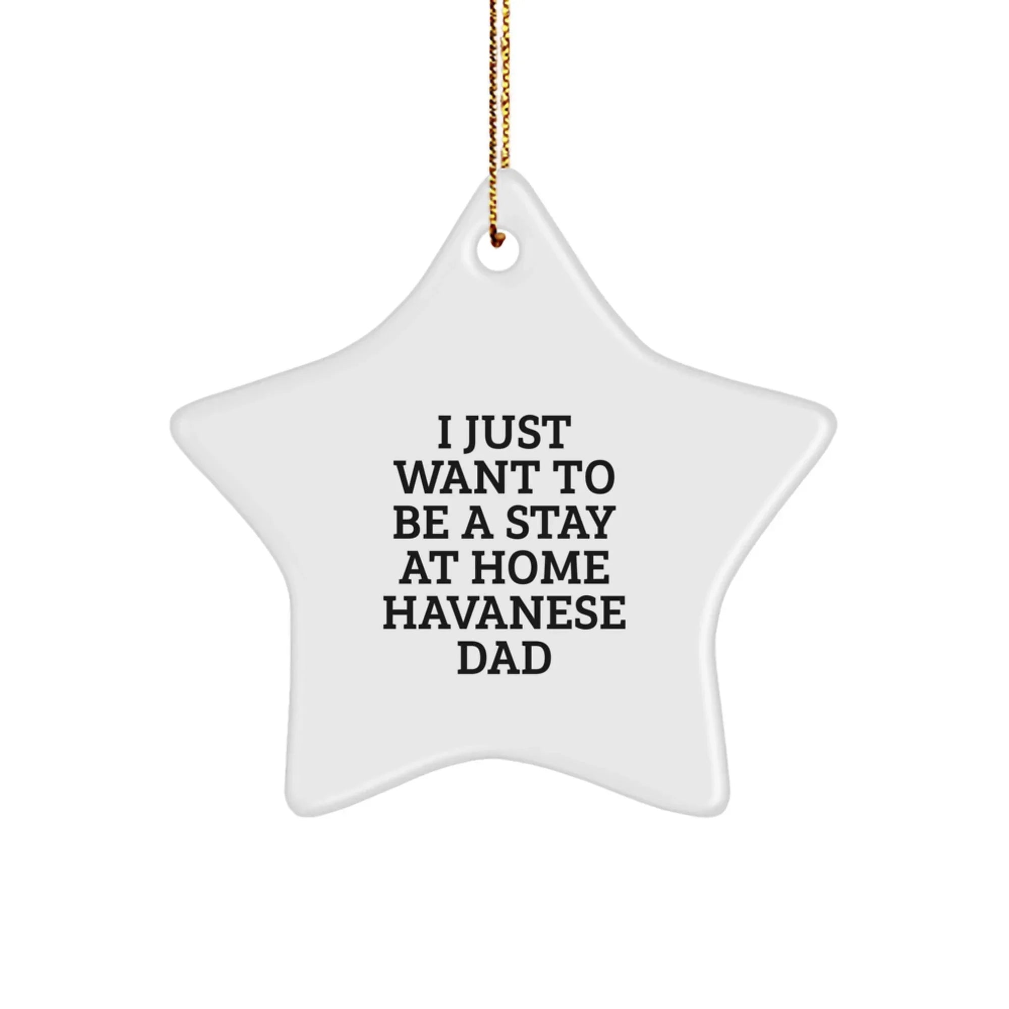 Funny Havanese Dog Star Ornament Gifts from Men for Havanese Dog Dad Christmas Unique Gifts