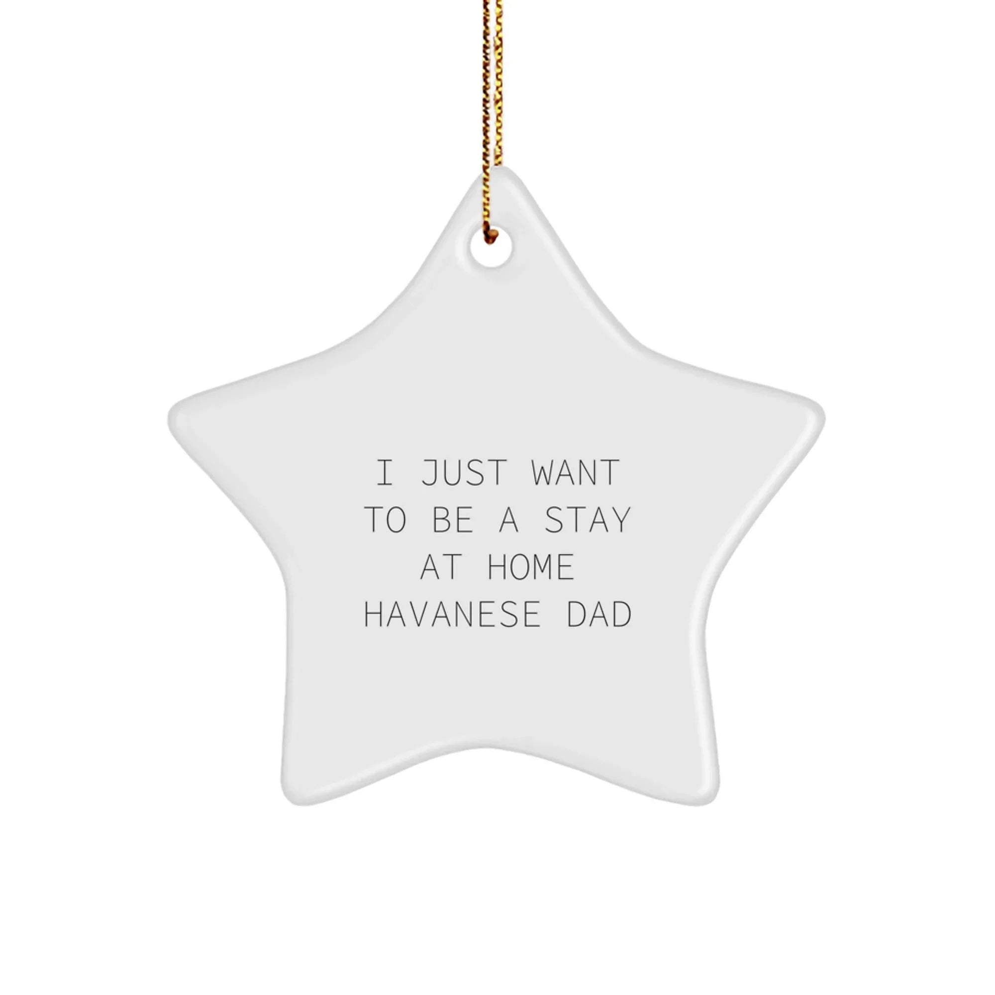 Funny Havanese Dog Star Ornament Gifts from Dad to Home - Unique Christmas Decorations