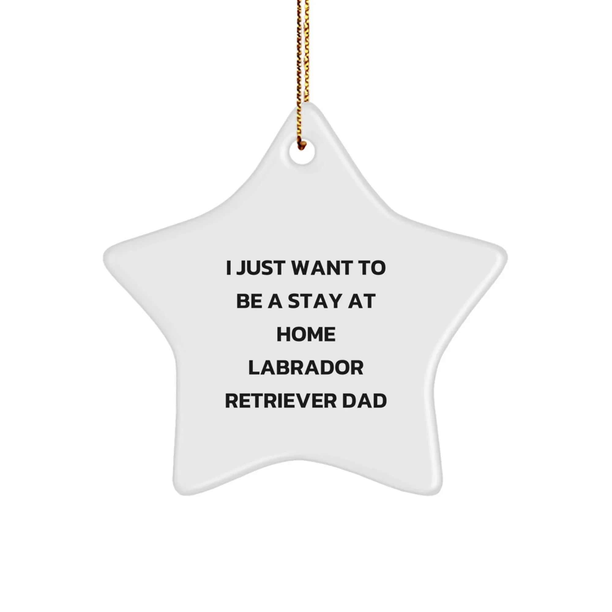 Funny Labrador Retriever Dog Gifts for Men, Labrador Retriever Dad Star Ornament, I Just Want To Be A Stay At Home Labrador Retriever Dad Christmas Unique Gifts