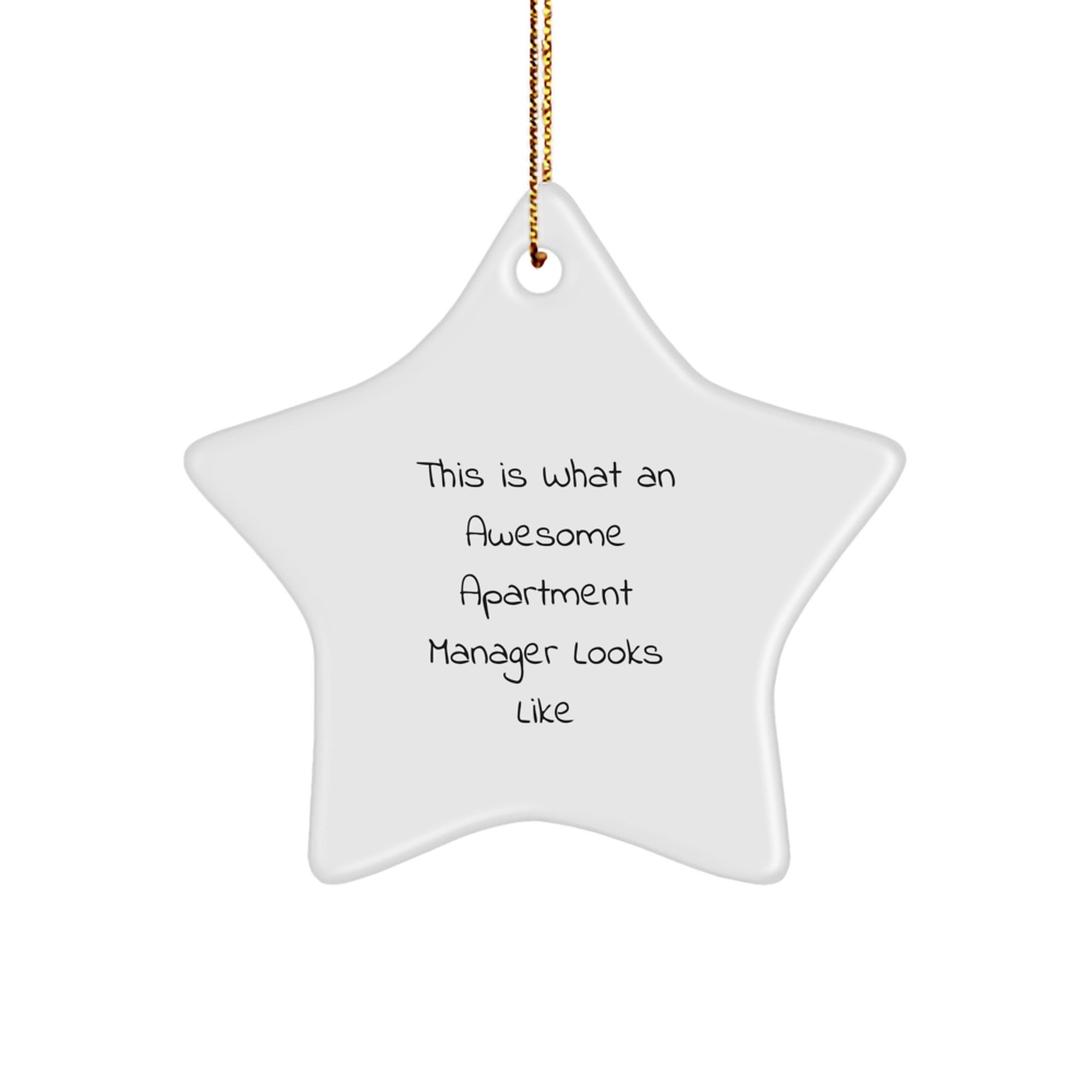 Funny Apartment Manager Gifts for Him or Her, Star Ornament This Is What An Awesome Apartment Manager Looks Like, Gifts from Family to Friends at Christmas