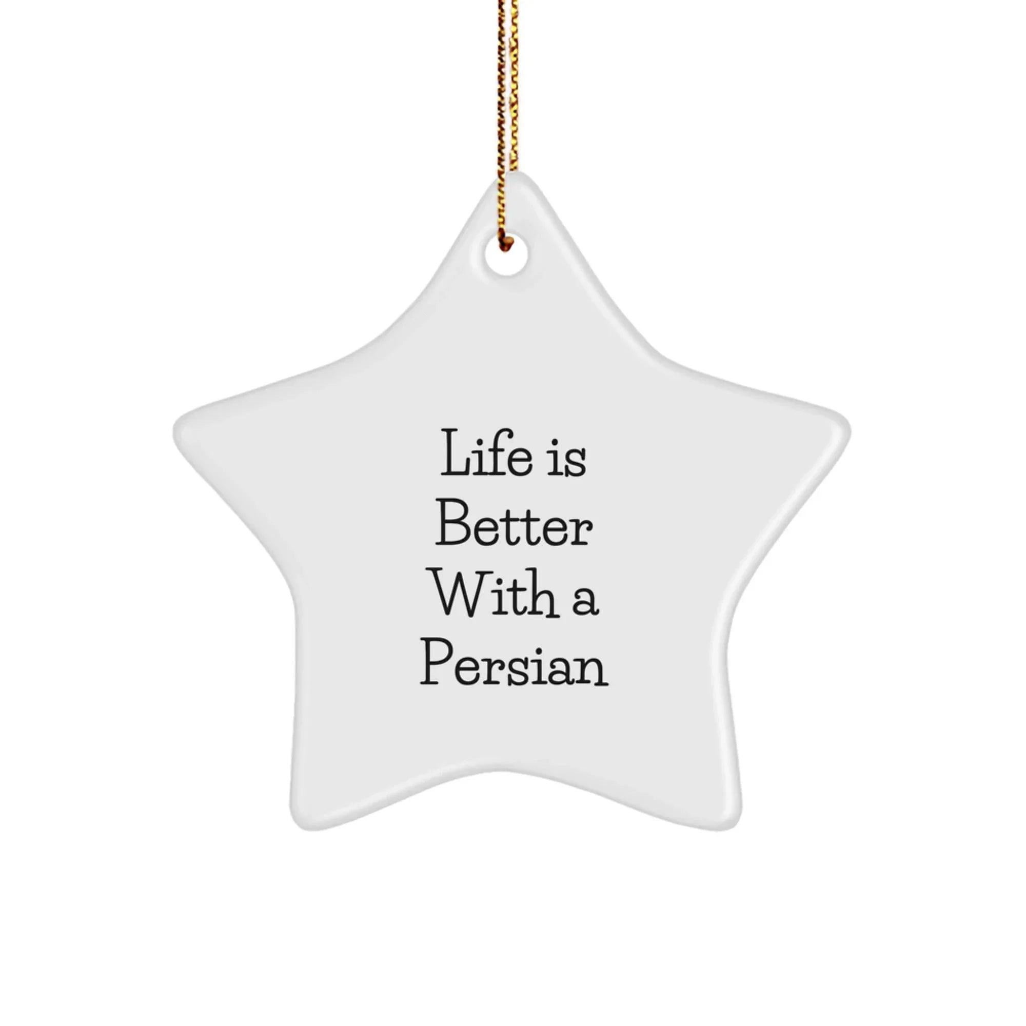 Funny Persian Cat Star Ornament Gifts from Friends and Family for Christmas Unique Decorations