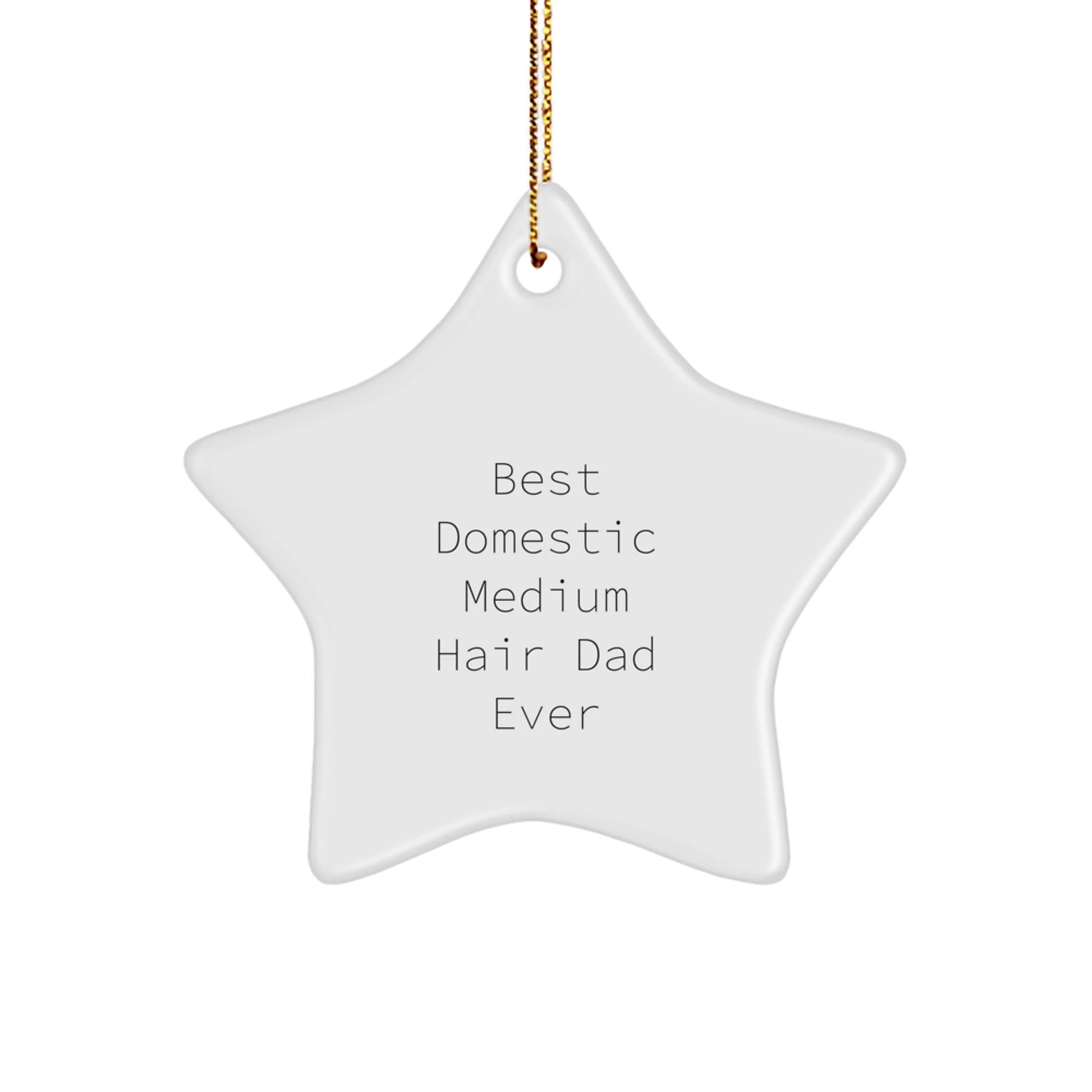 Funny Domestic Medium Hair Cat Dad Gifts from Men, Christmas Unique Gifts for Domestic Medium Hair Cat Lover, Decorative Star Ornament