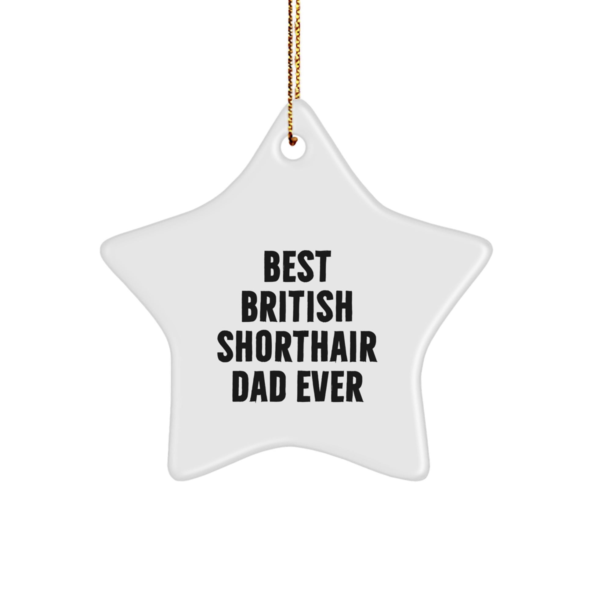 British Shorthair Cat Gifts for Men, Funny Star Ornament from Dad, Perfect Christmas Unique Gifts - Image 1