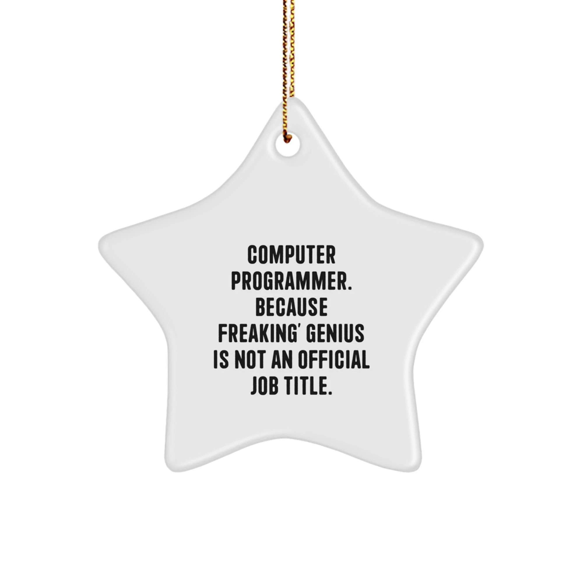 Funny Computer Programmer Star Ornament Gifts from Friends or Coworkers for Christmas Unique