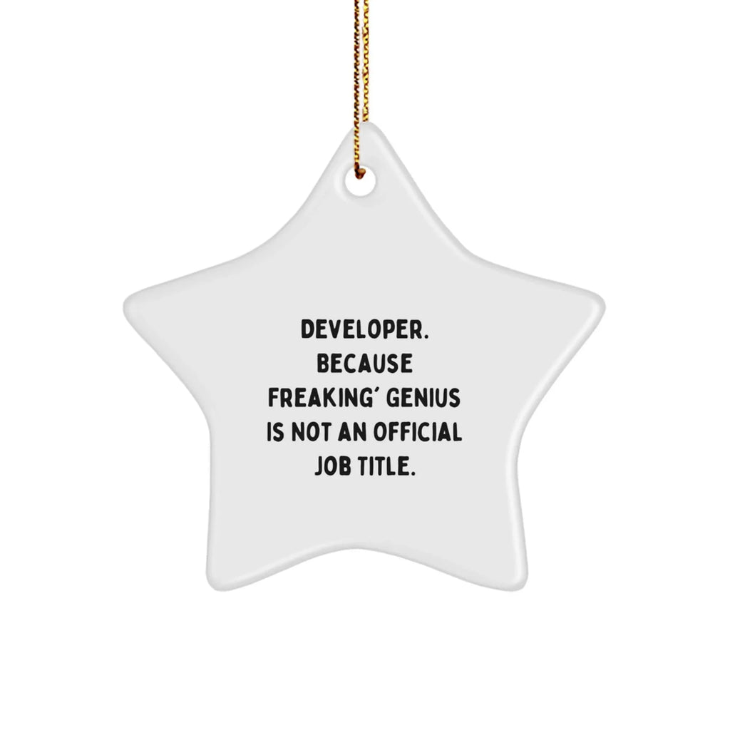 Funny Developer Gifts from Family - 'Developer. Because Freaking' genius Is Not An Official Job Title.' Star Ornament for Christmas Unique Gifts