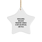Funny Developer Gifts from Family - 'Developer. Because Freaking' genius Is Not An Official Job Title.' Star Ornament for Christmas Unique Gifts