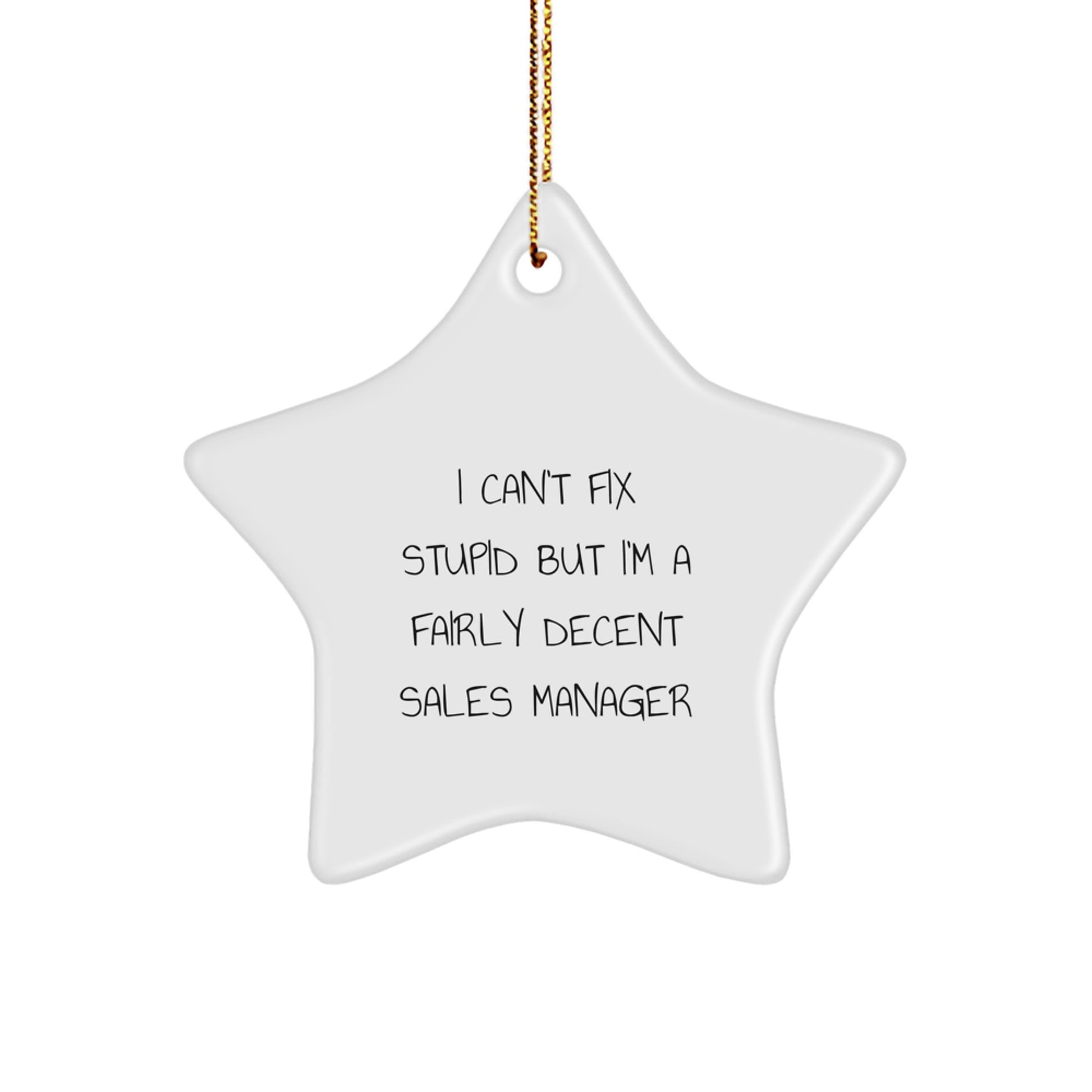 Funny Quote Gifts for Sales Manager Christmas Star Ornament Men, 'I Can't Fix Stupid But I'm A Fairly Decent Sales Manager' Star Ornament Gifts from Men to Friends - Image 1