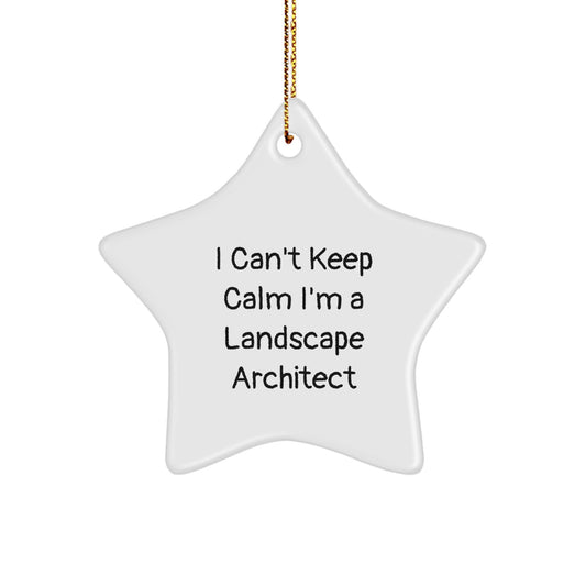 Unique Landscape Architect Gifts for Christmas - I Can't Keep Calm I'm A Landscape Architect Star Ornament from Friends - Image 1