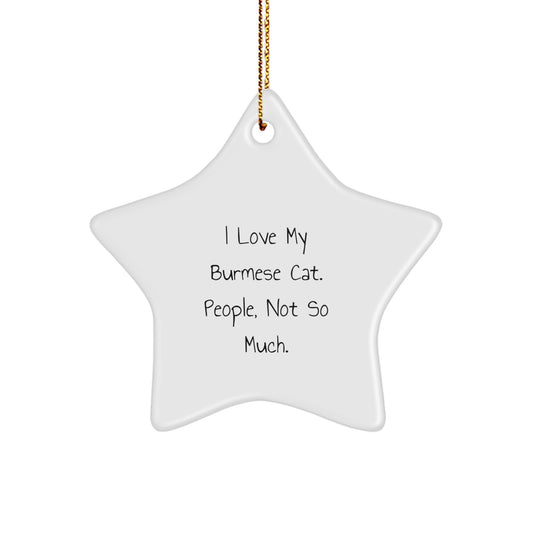 Burmese Cat Lovers' Funny Gift from Friends, Perfect for Christmas Unique Gifts - Image 1