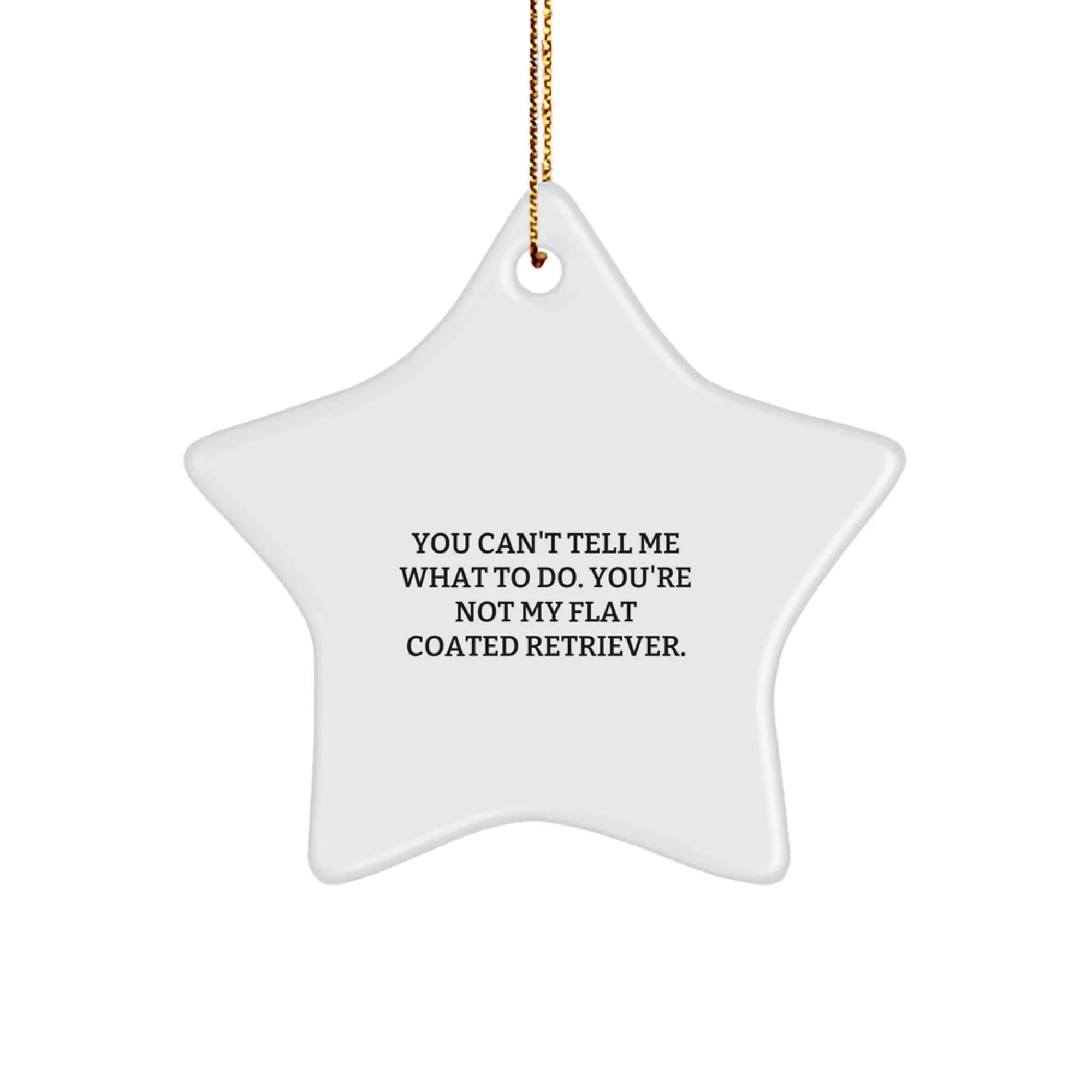 Funny Flat Coated Retriever Dog Gifts from Friends and Family - You Can't Tell Me What To Do. You're Not My Flat Coated Retriever. Star Ornament for Christmas
