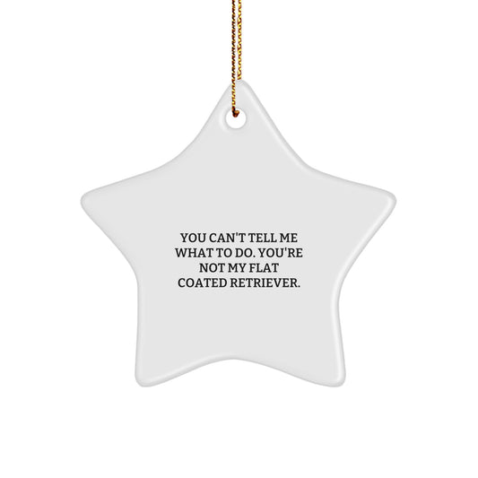 Funny Flat Coated Retriever Dog Gifts from Friends and Family - You Can't Tell Me What To Do. You're Not My Flat Coated Retriever. Star Ornament for Christmas - Image 1
