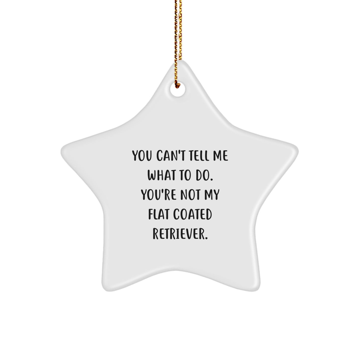 Flat Coated Retriever Dog Star Ornament, Funny Quote Gifts for Men, Women, Friends, Coworkers, Family - You Can't Tell Me What To Do. You're Not My Flat Coated Retriever. - Christmas Unique Gifts - Image 1