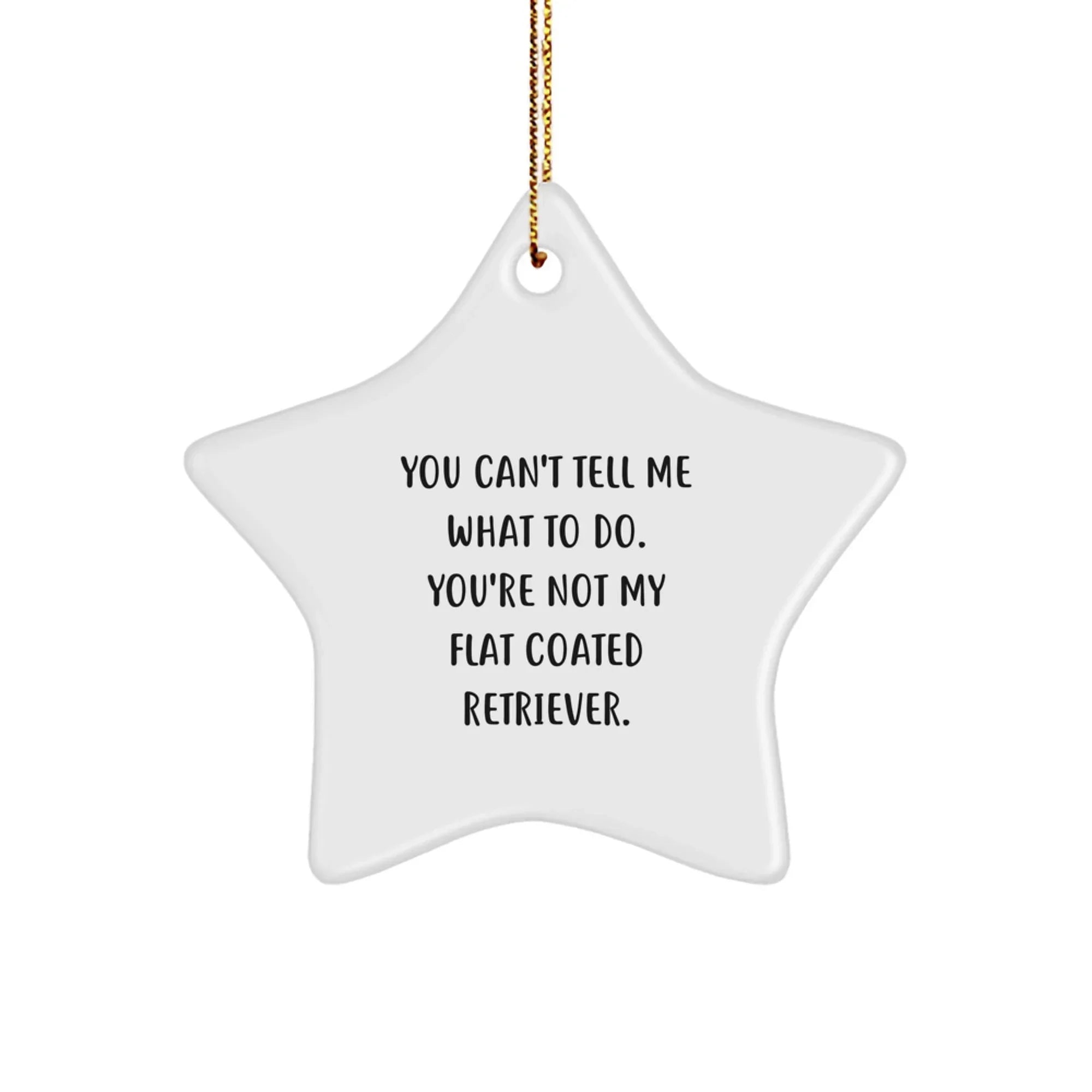 Flat Coated Retriever Dog Star Ornament, Funny Quote Gifts for Men, Women, Friends, Coworkers, Family - You Can't Tell Me What To Do. You're Not My Flat Coated Retriever. - Christmas Unique Gifts