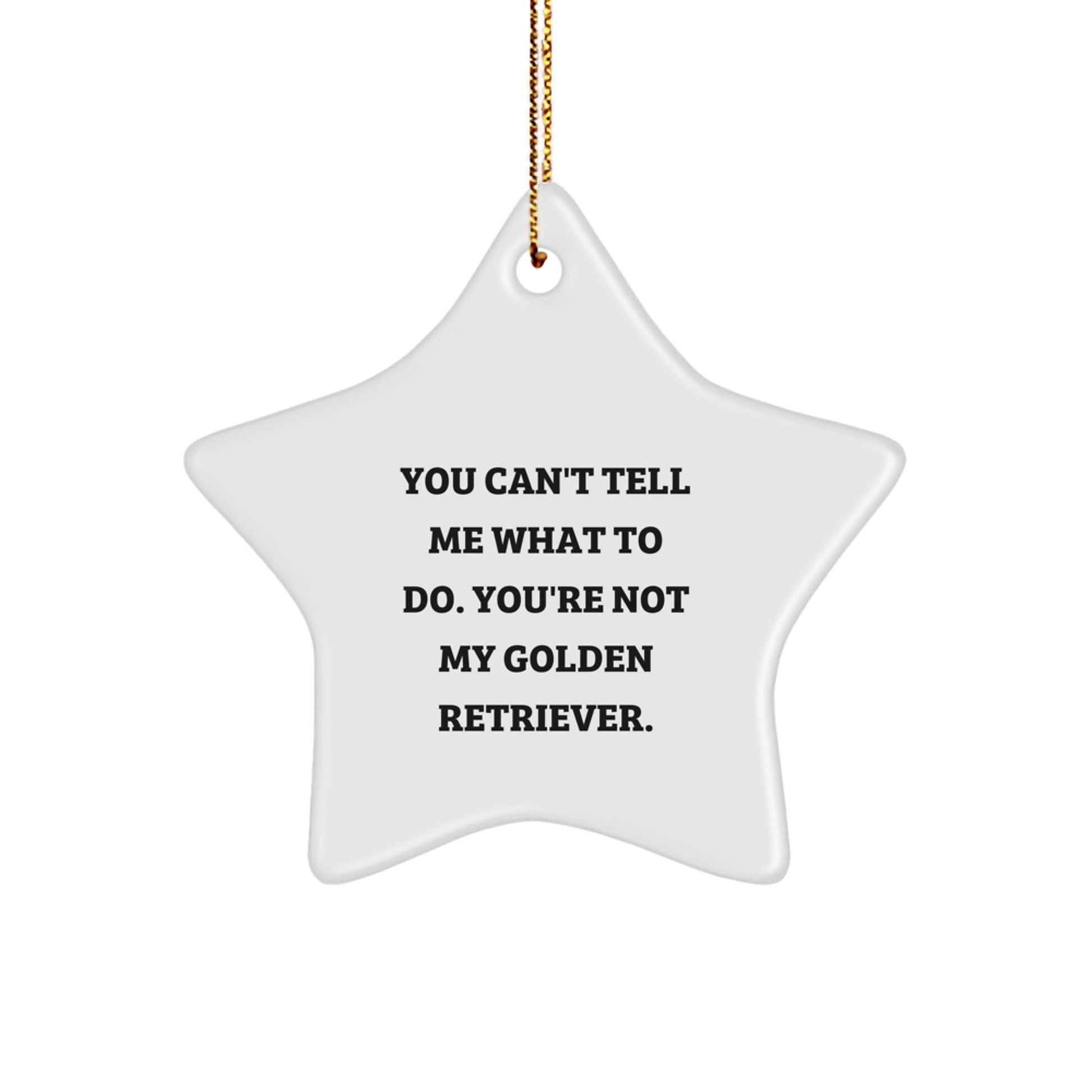Golden Retriever Dog Lover's Christmas Unique Gift, You Can't Tell Me What To Do, Star Ornament, Gifts from Friends, for Golden Retriever Dog Owners, Christmas Unique Treasures - Image 1