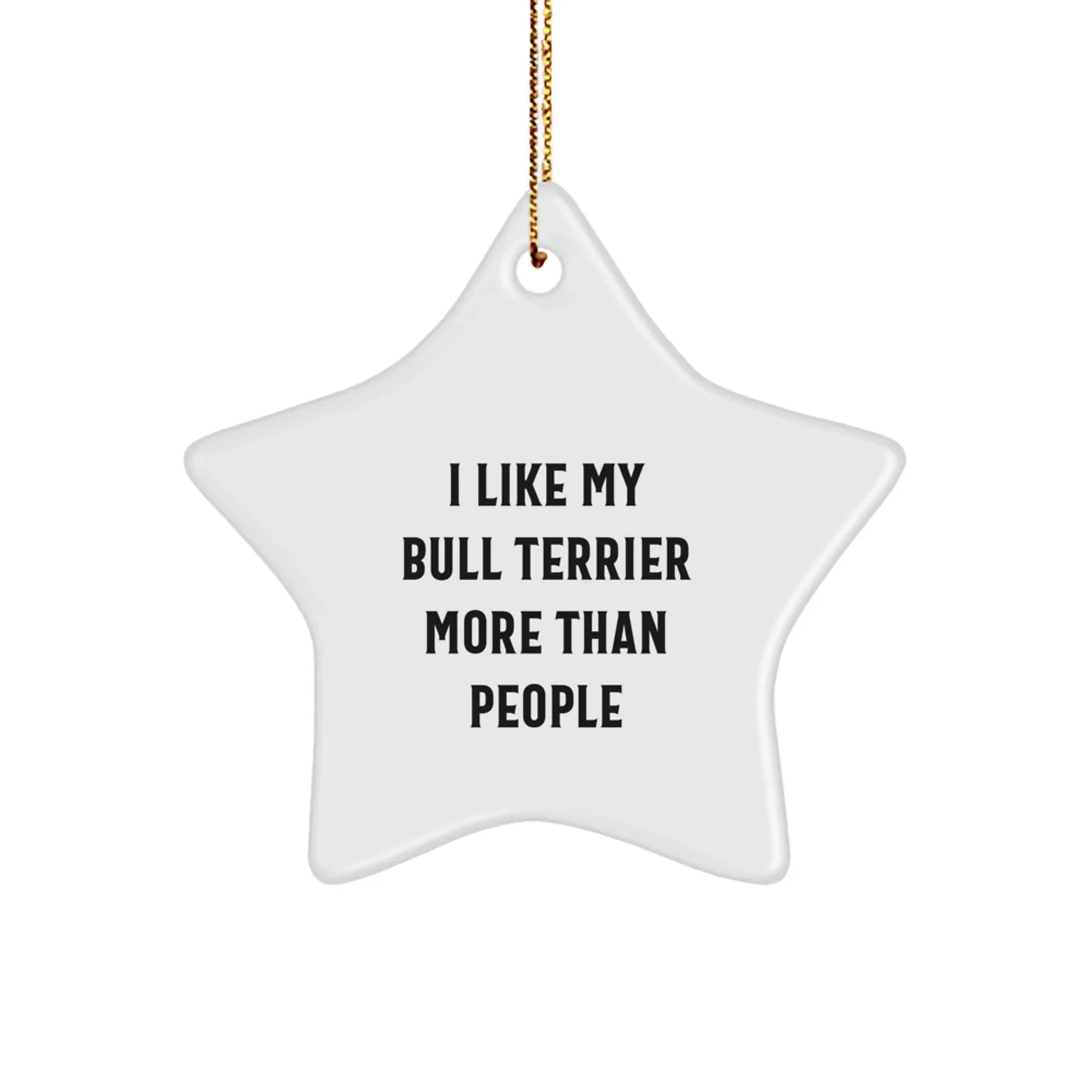 Funny Bull Terrier Dog Christmas Star Ornament Gifts from Friends and Family - 'I Like My Bull Terrier More Than People'