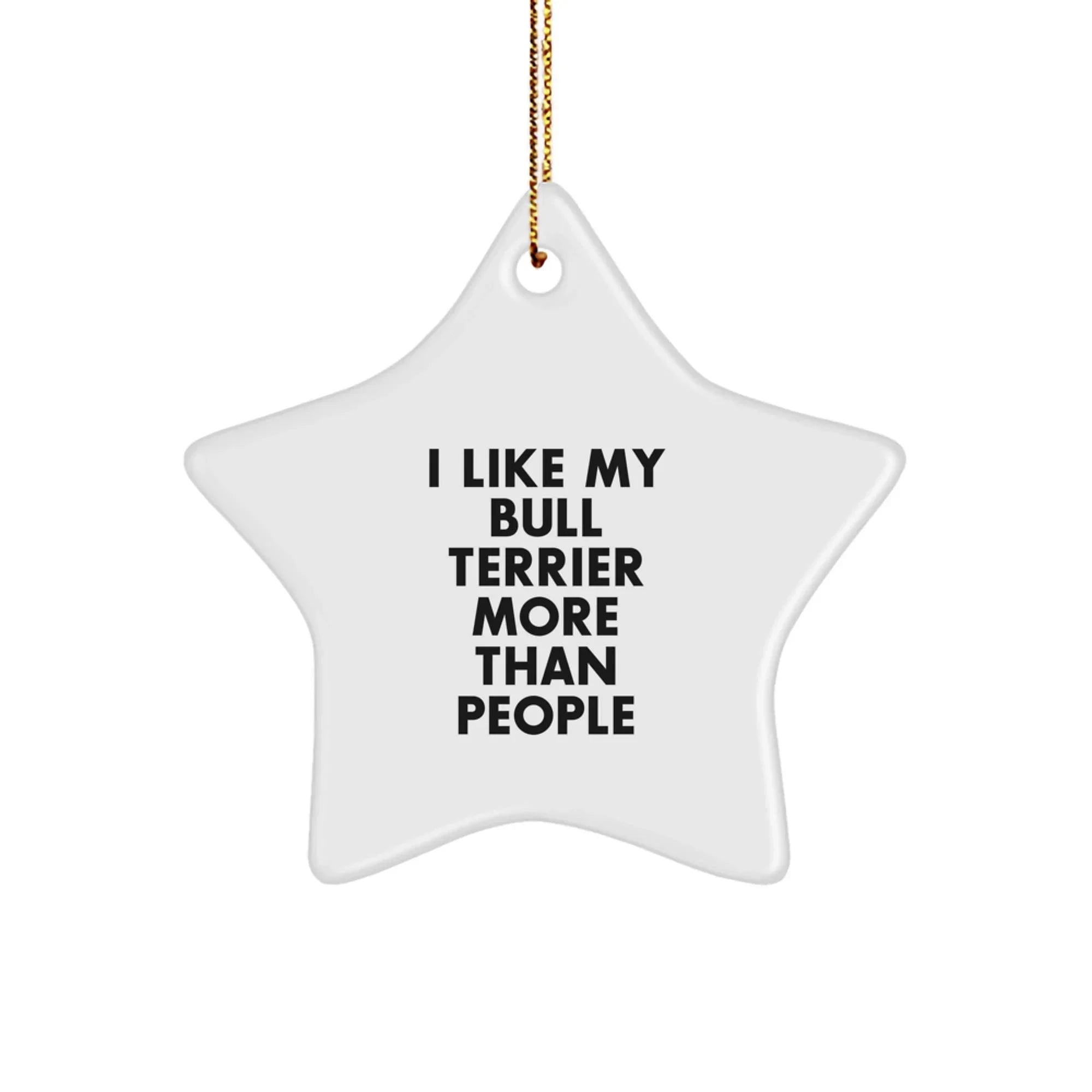 Funny Gifts for Bull Terrier Dog Lovers, Star Ornament, I 'Like My Bull Terrier More Than People' Quote, Christmas Unique Gifts from Friends