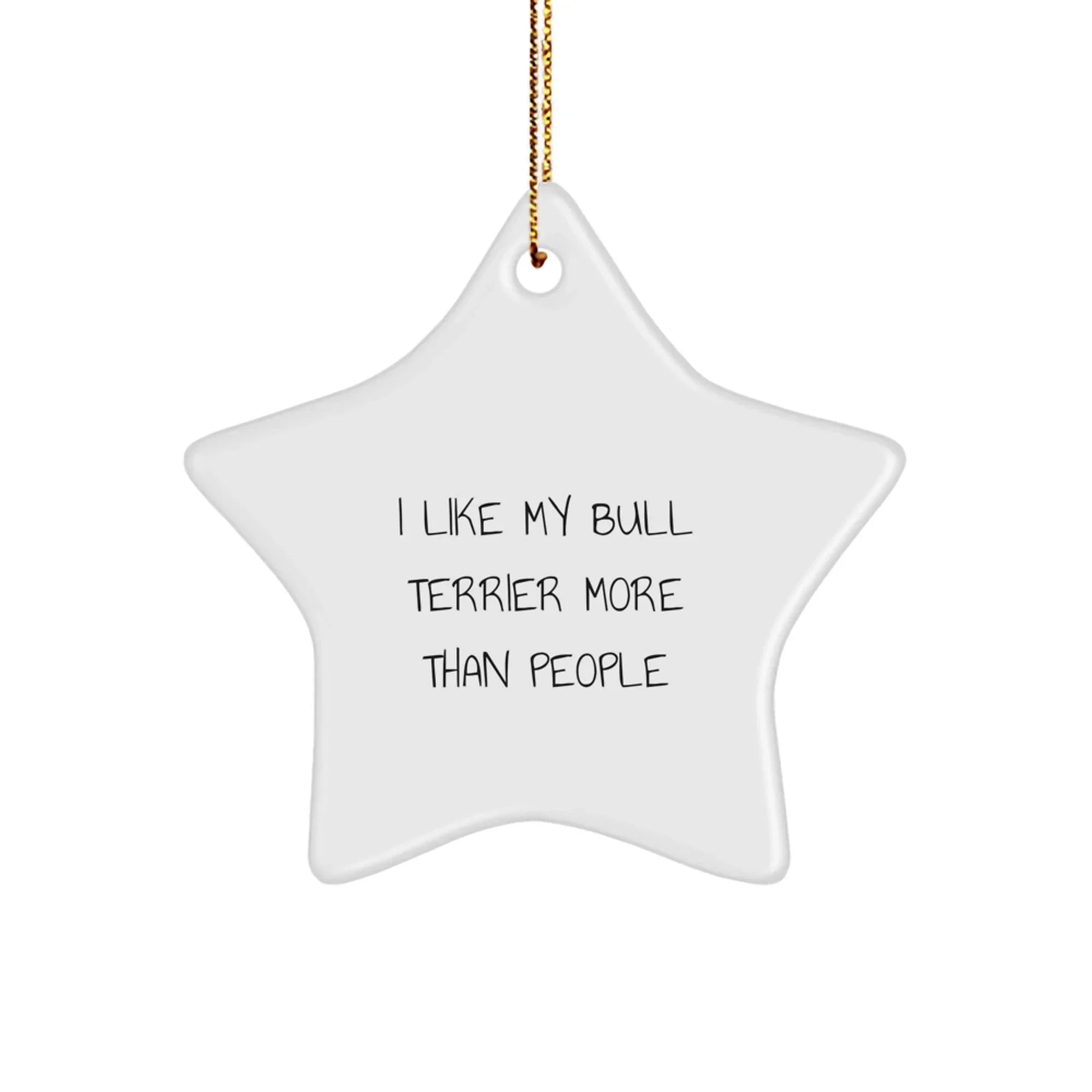 Funny Bull Terrier Dog Gifts from Men, Women, or Friends for Bull Terrier Dog Lovers at Christmas Unique Decorations, Star Ornament with Quote I Like My Bull Terrier More Than People