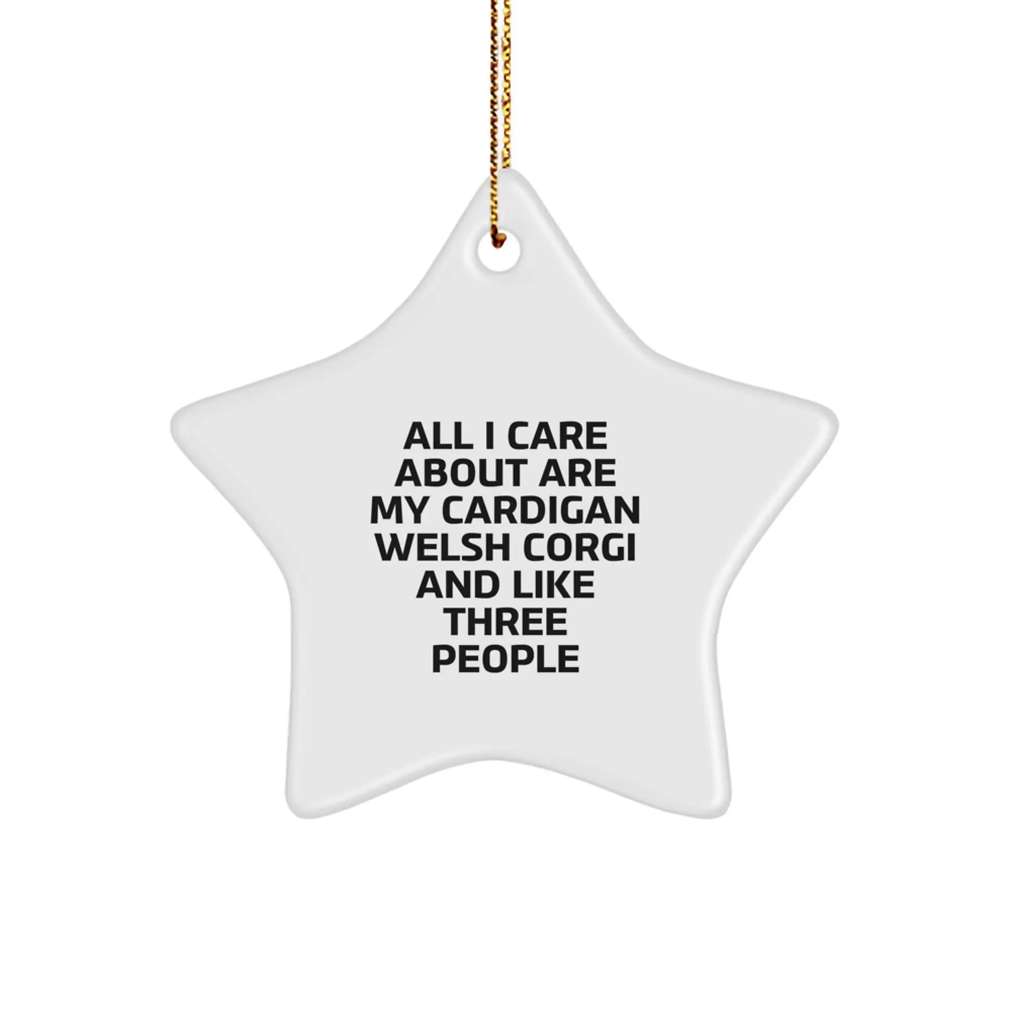 Funny Cardigan Welsh Corgi Dog Christmas Star Ornament Gifts for Owners and Friends from Family - Image 1