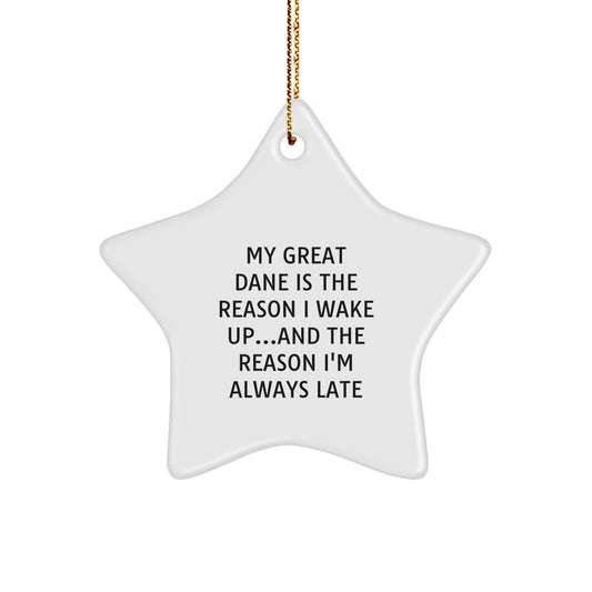 Funny Great Dane Dog Lover Gifts from Friends and Family - Star Ornament for Men and Women - 'My Great Dane Is The Reason I Wake Up...' Christmas Unique Presents - Image 1