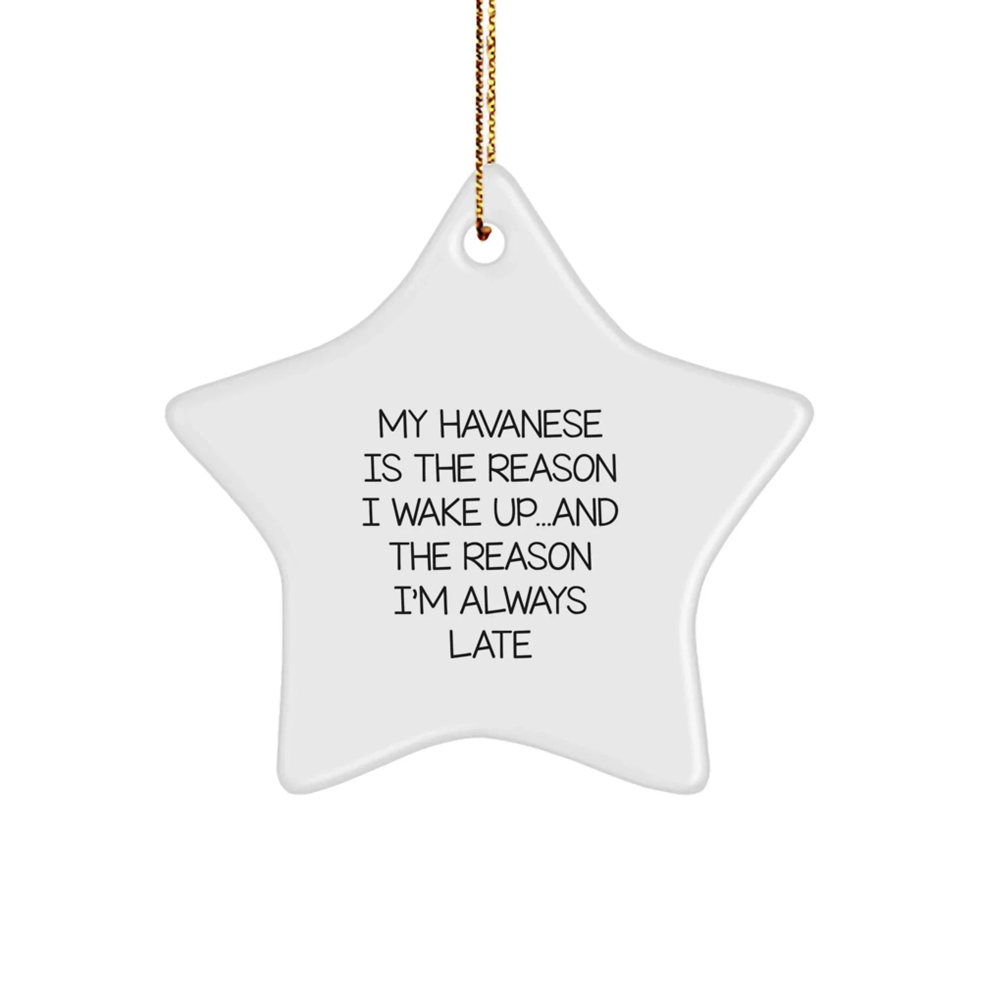 Funny Havanese Dog Lover Gifts from Family to Friends - My Havanese Is The Reason I Wake Up...and The Reason I'm Always Late Star Ornament for Christmas